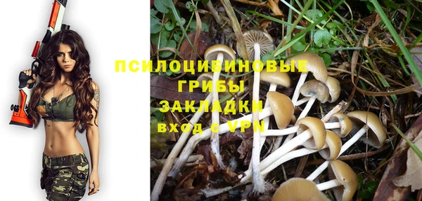 героин Алзамай