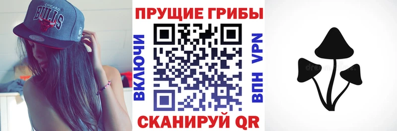 дарнет шоп  гидра   Галлюциногенные грибы GOLDEN TEACHER  Зуевка 